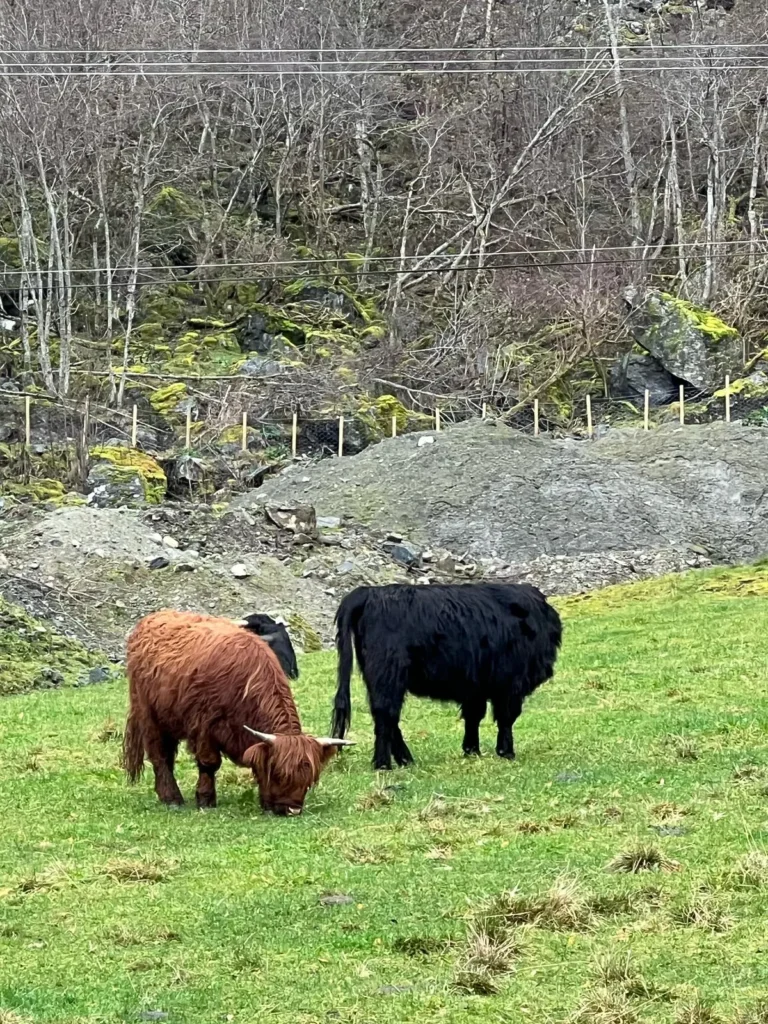 viflow-experience-img-06