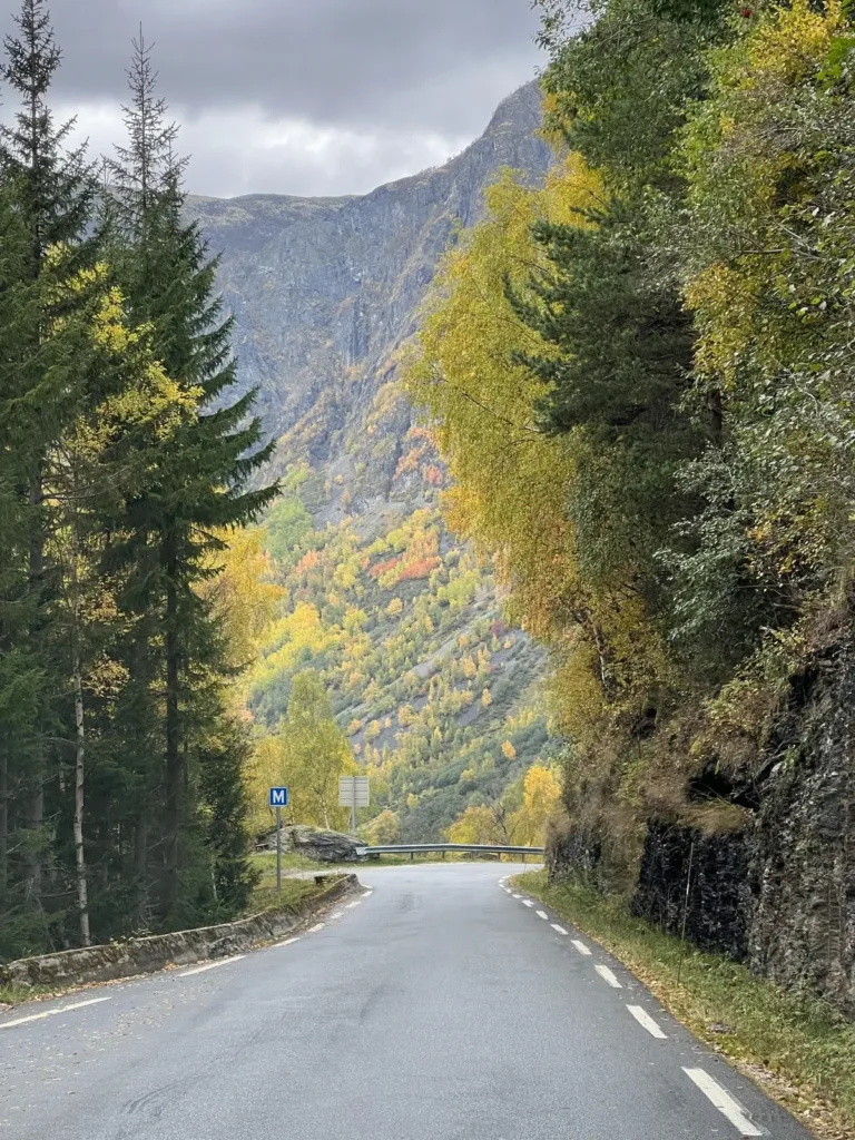 viflow-experience-img-08