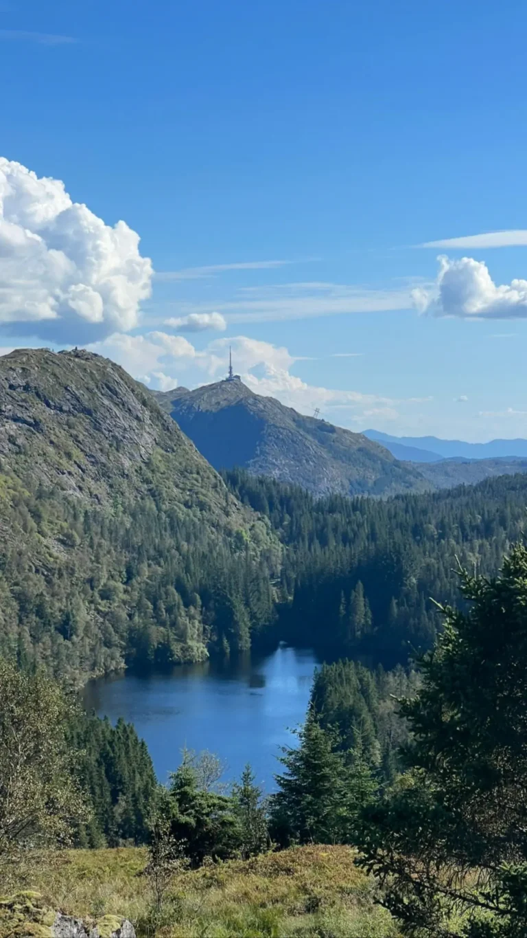 viflow-experience-img-102