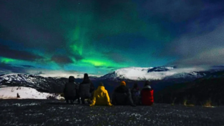 viflow-experience-img-105