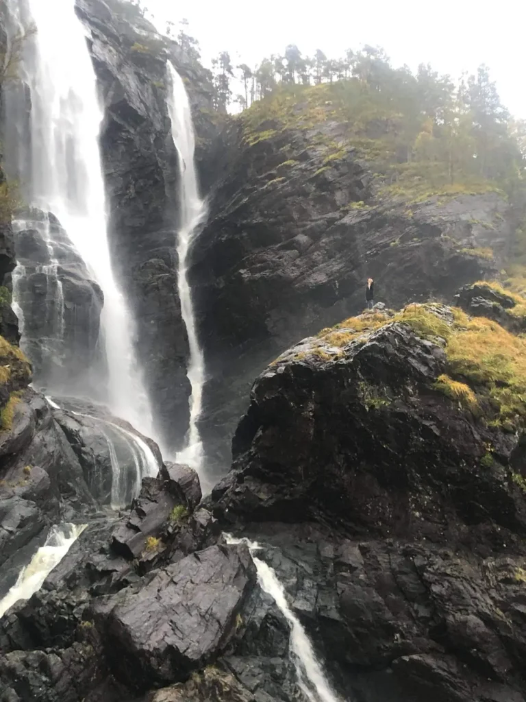 viflow-experience-img-112