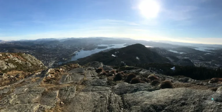 viflow-experience-img-123