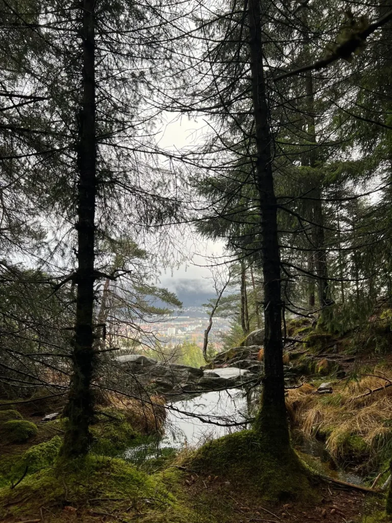 viflow-experience-img-125