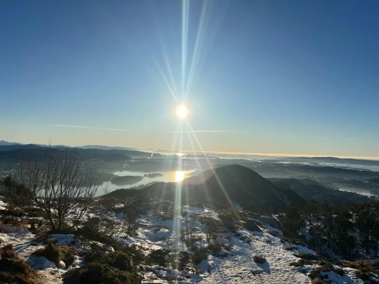 viflow-experience-img-126