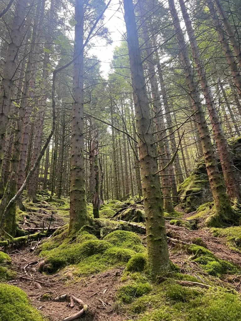 viflow-experience-img-128