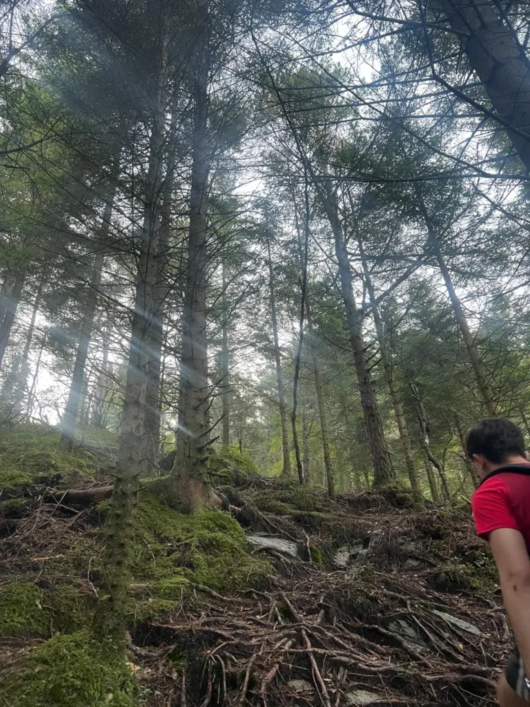 viflow-experience-img-129