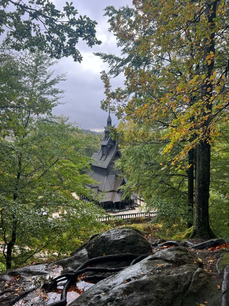 viflow-experience-img-19