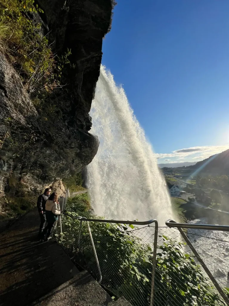 viflow-experience-img-23