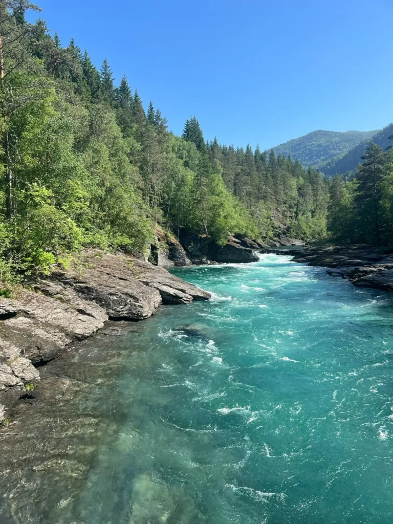 viflow-experience-img-24