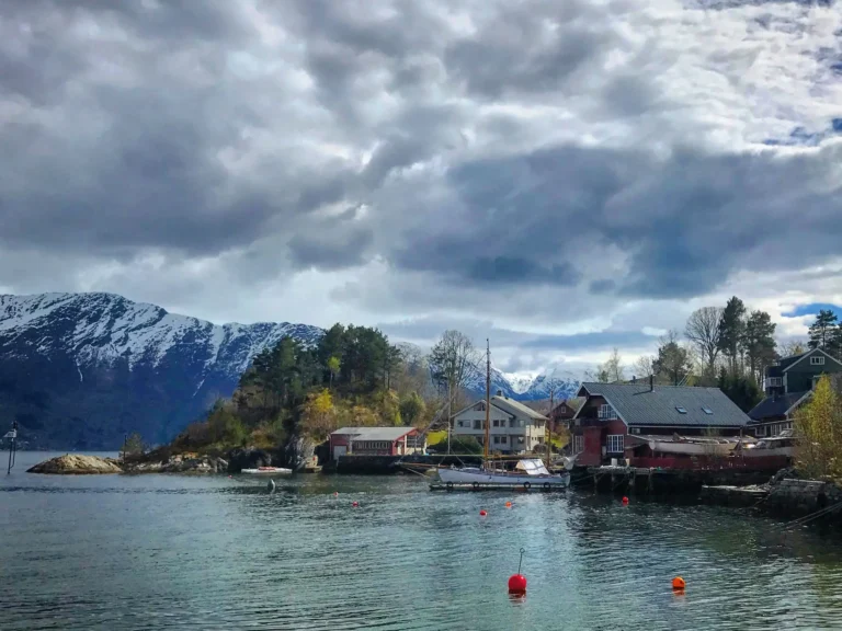 viflow-experience-img-36