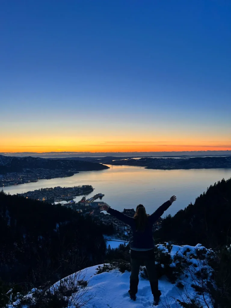 viflow-experience-img-38