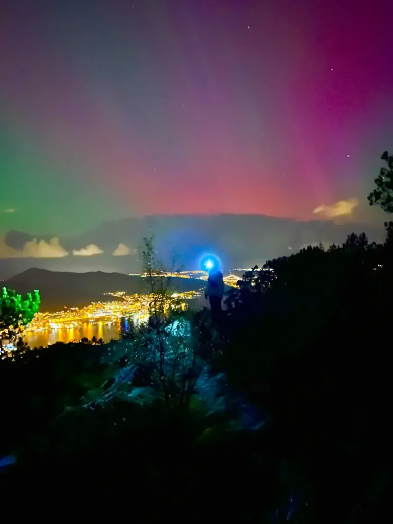 viflow-experience-img-39