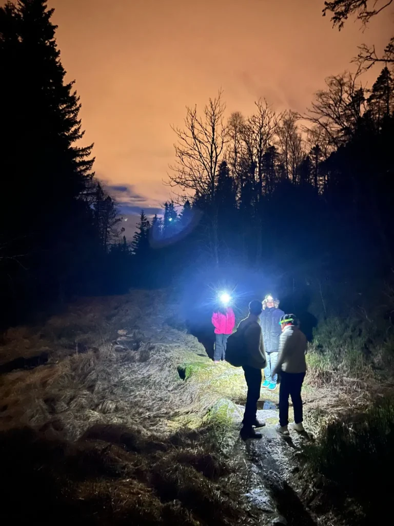 viflow-experience-img-40