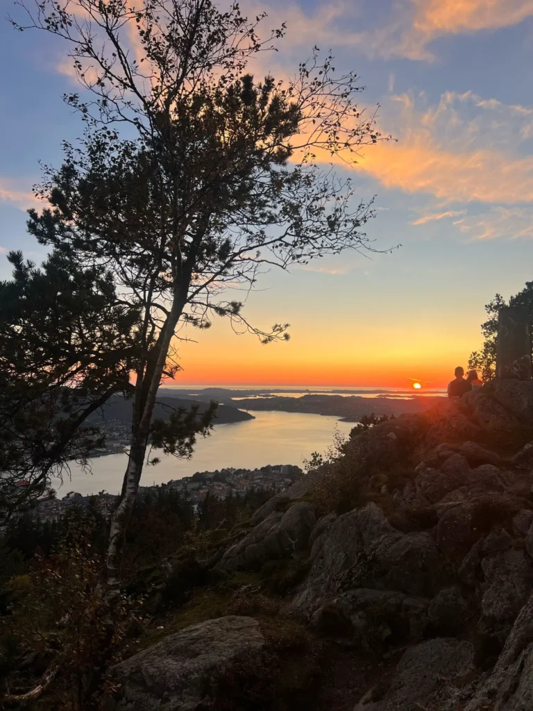 viflow-experience-img-41