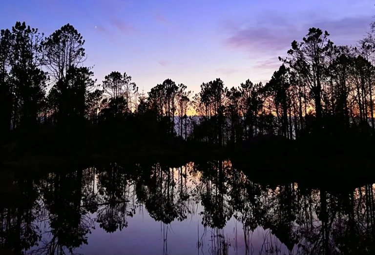 viflow-experience-img-49