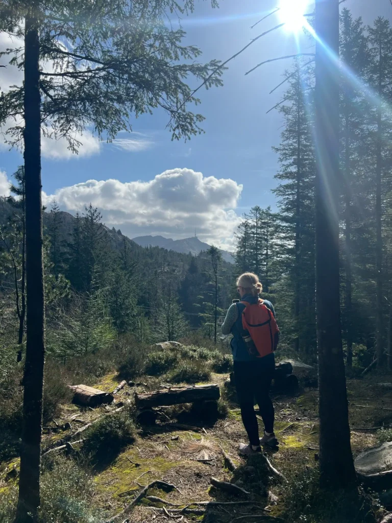 viflow-experience-img-53