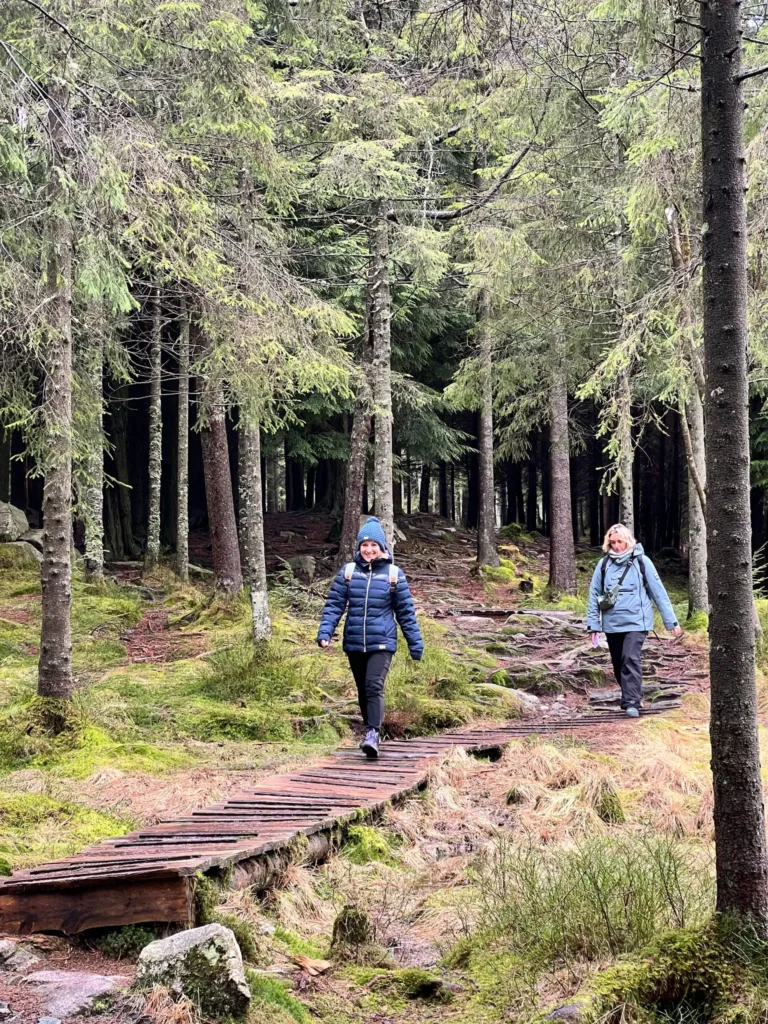 viflow-experience-img-55