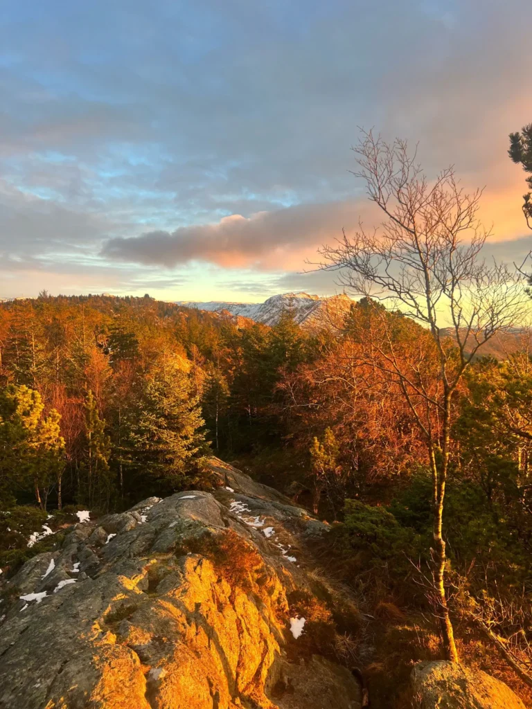 viflow-experience-img-58