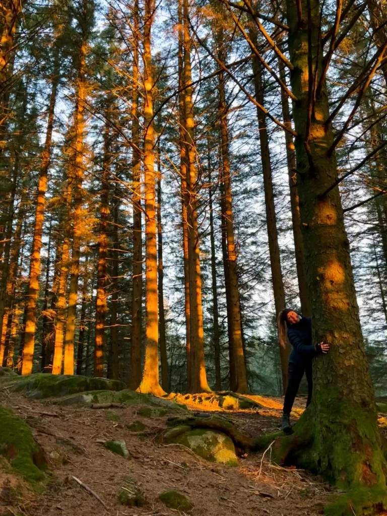 viflow-experience-img-60