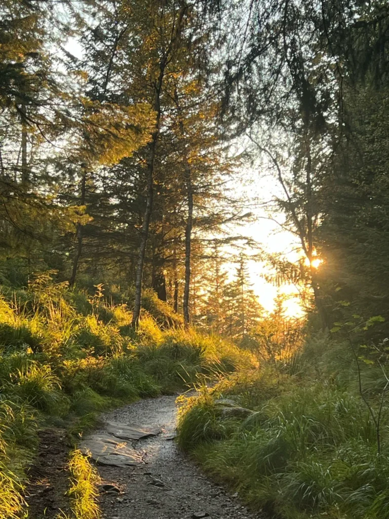 viflow-experience-img-64