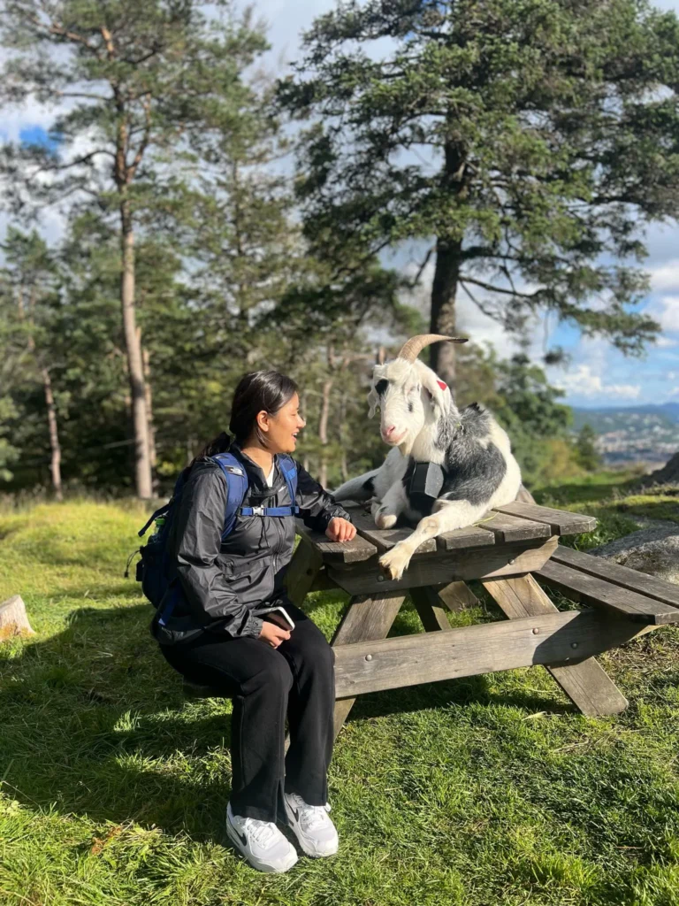 viflow-experience-img-69