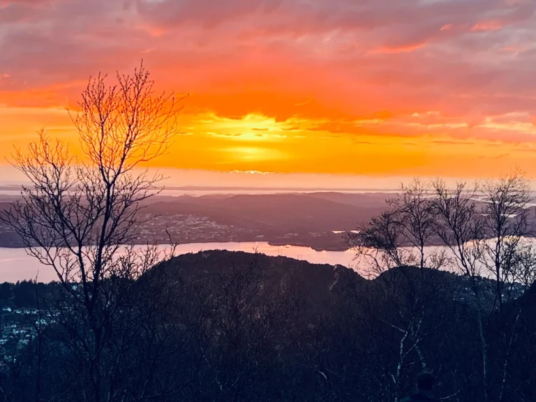 viflow-experience-img-72