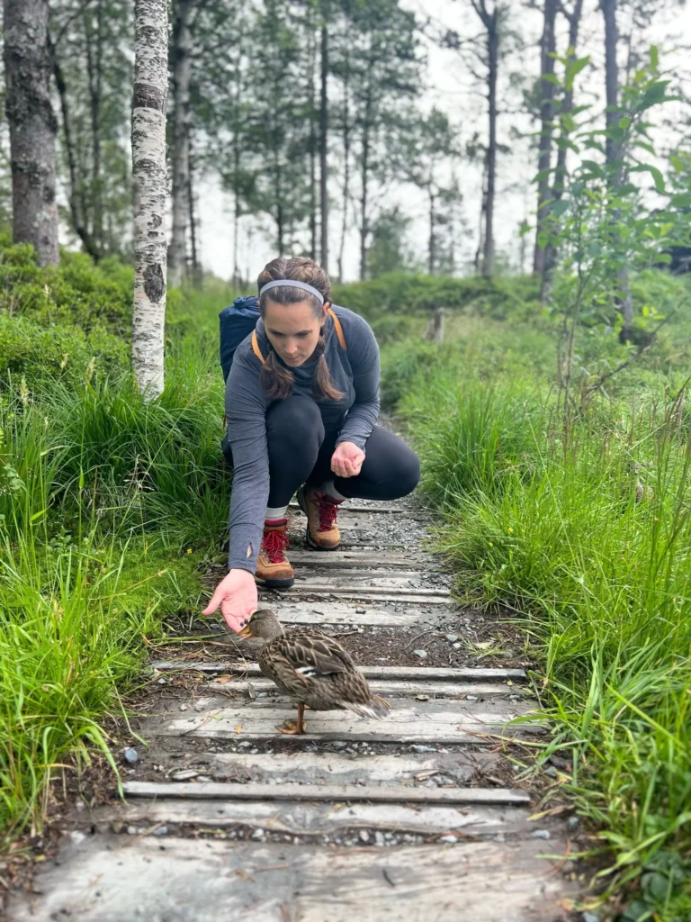 viflow-experience-img-75