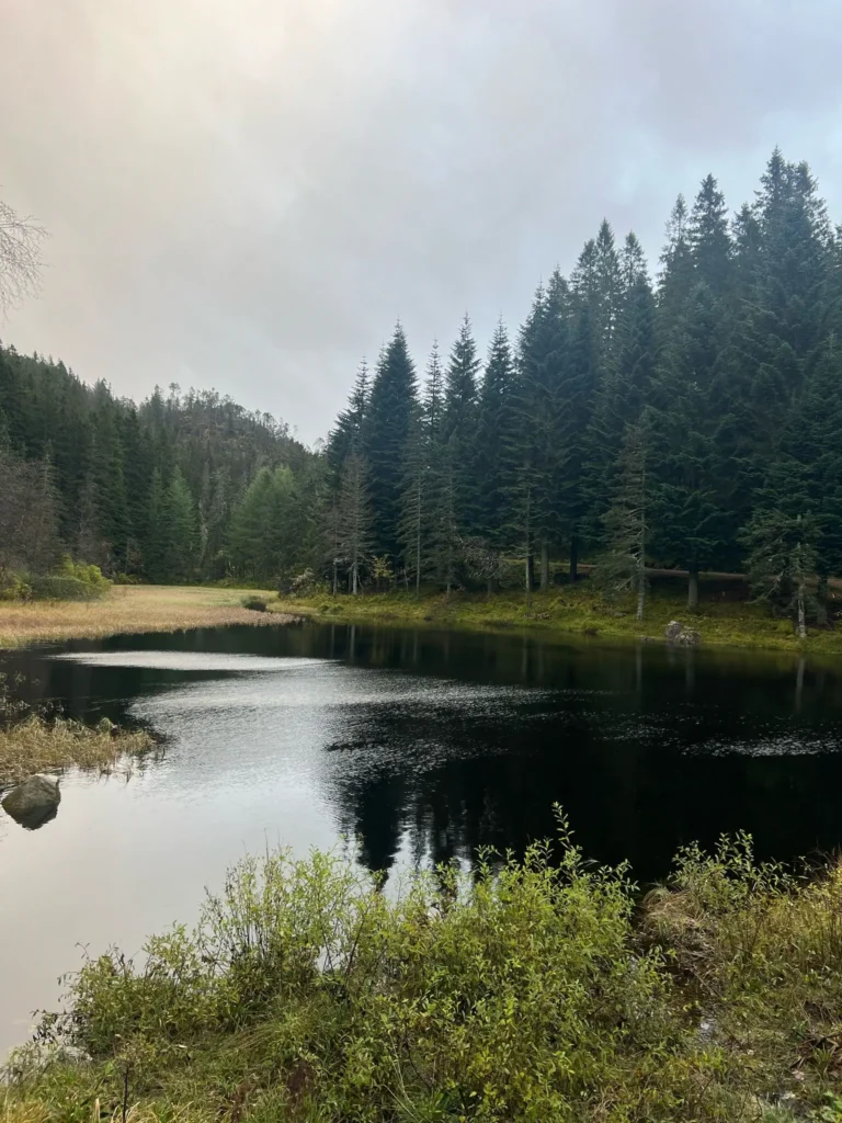 viflow-experience-img-77