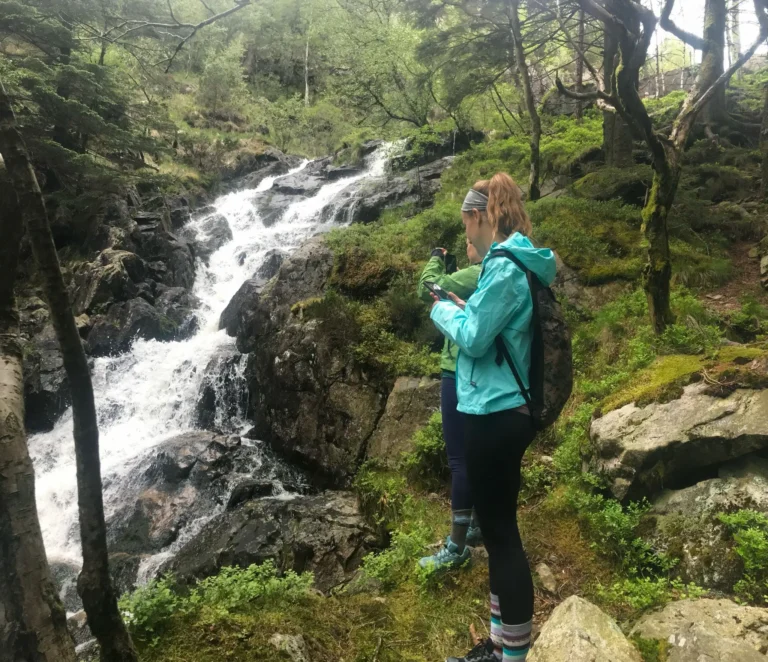 viflow-experience-img-83