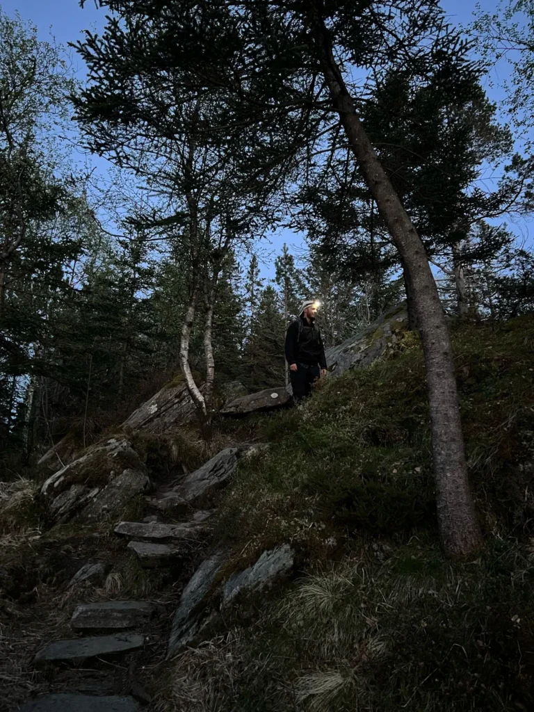 viflow-experience-img-97